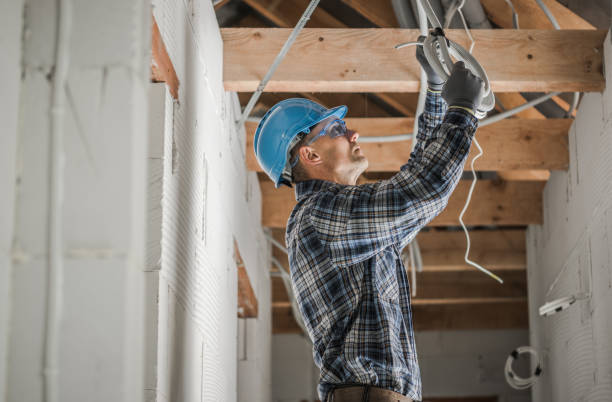 Best Electric Panel Repair  in Lake Pocotopaug, CT